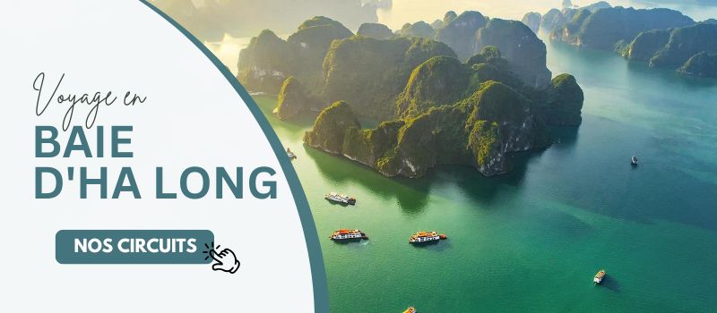 circuit vietnam 15 jours