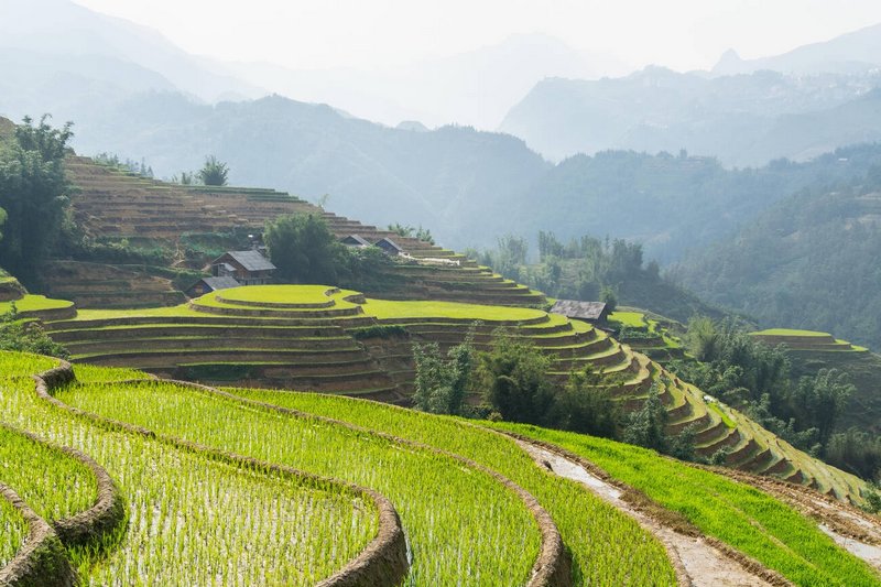 Rizi&egrave;re en terrase &agrave;&nbsp;Sapa
