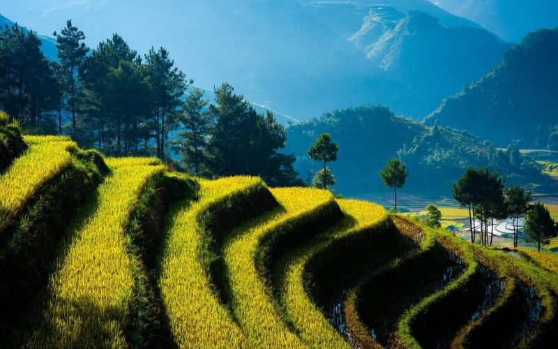 Climat du Nord Vietnam selon les saisons &ndash; hiver froid &agrave; Sapa, &eacute;t&eacute; humide &agrave; Hanoi, automne temp&eacute;r&eacute;