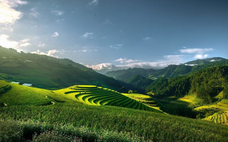 Rizi&egrave;res en terrasse de Mu Cang Chai dans le Nord Vietnam, paysage iconique au lever du soleil