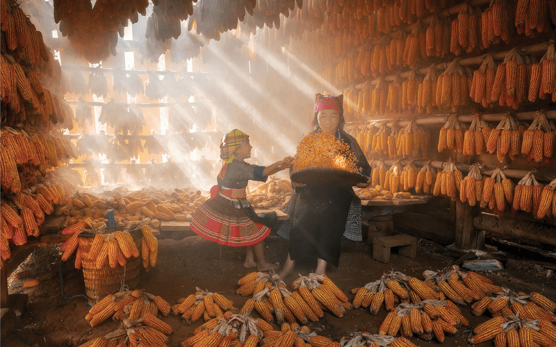 Femmes d'une ethnie minoritaire du Nord Vietnam en costumes traditionnels color&eacute;s