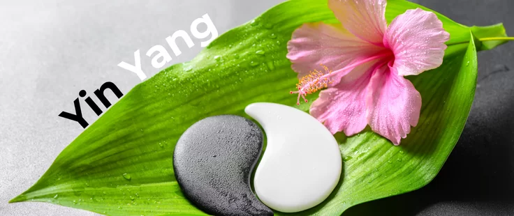 C’est quoi le Ying et le Yang?
