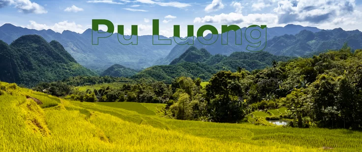 Pu Luong, une réserve naturelle unique à découvrir