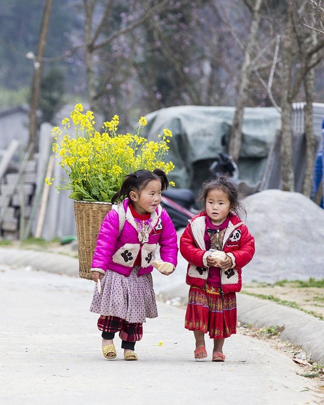 Nord-Est Vietnam : Aventure au pays des ethnies montagnardes