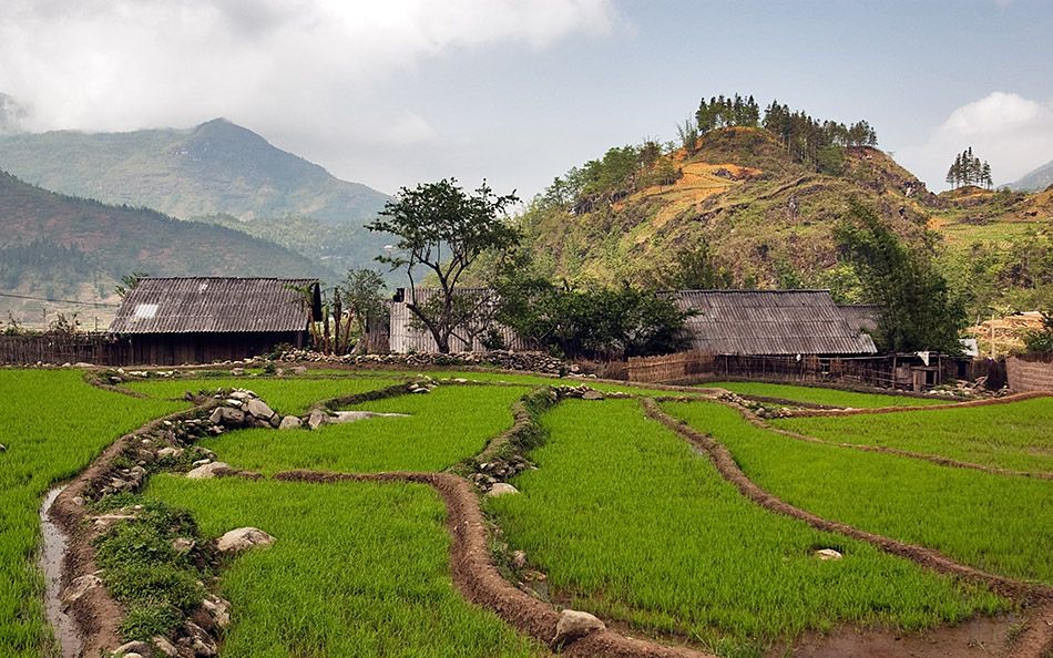 Randonnée autour de Sapa