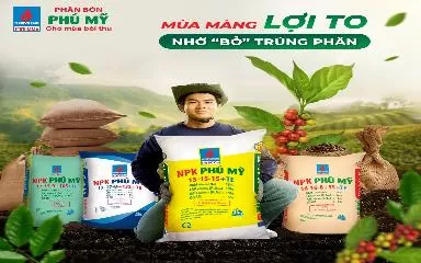 Mùa màng lợi to, nhờ gieo đúng phân bón!