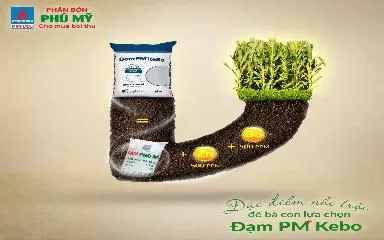 Đặc điểm nổi trội để bà con lựa chọn ĐẠM PM+ KEBO