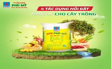 4 tác dụng nổi bật của NPK Phú Mỹ mang đến cho cây trồng