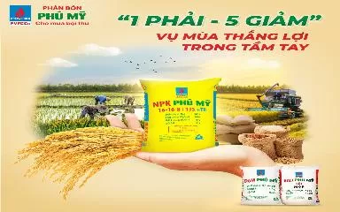 1 PHẢI – 5 GIẢM”: Vụ mùa thắng lợi trong tầm tay”