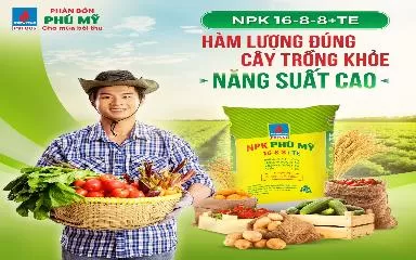 Dòng công thức mới: NPK PHÚ MỸ 16-8-8+TE