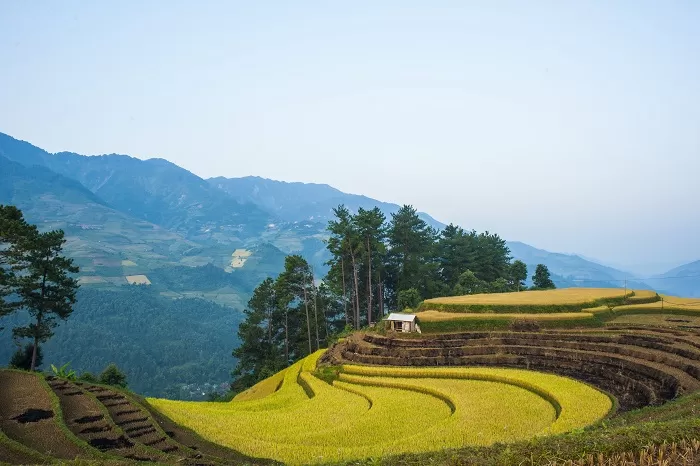 North-West Vietnam Loop Tour