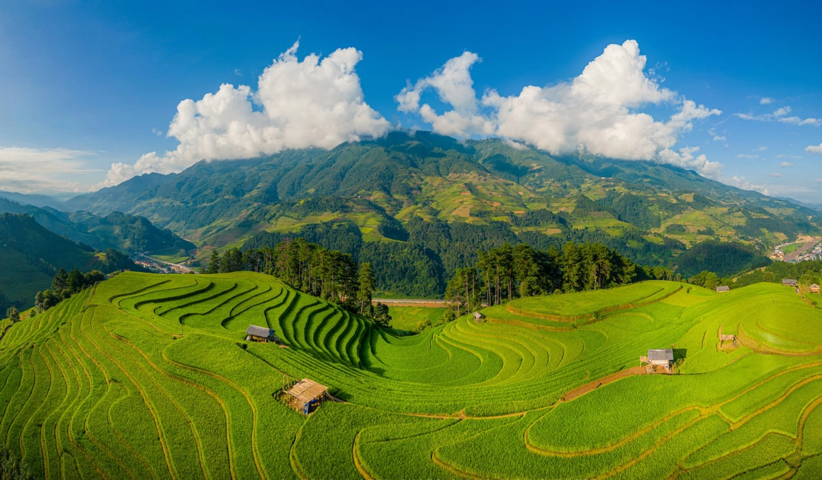 THE BEST THE UNTOUCHED GEMS OF NORTHWEST VIETNAM 7 DAYS 6 NIGHTS