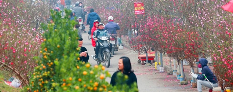 Automne-hiver au Vietnam : L'esssentiel de la haute saison