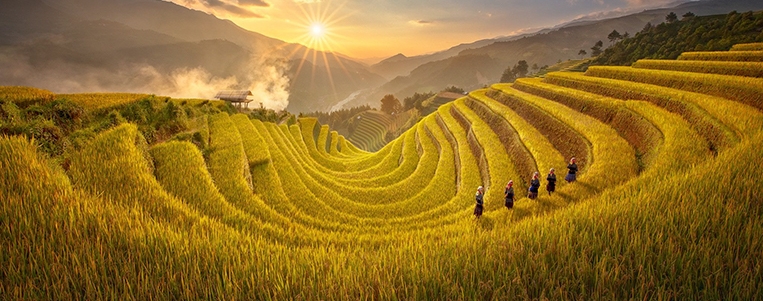 Vietnam en Octobre : Explorer les rizières dorées de Mu Cang Chai