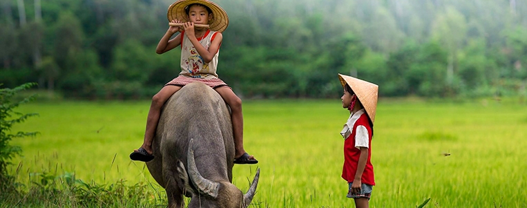 6 films à regarder avant de voyager au Vietnam