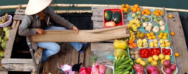 Quelques fruits typiques à découvrir au Vietnam