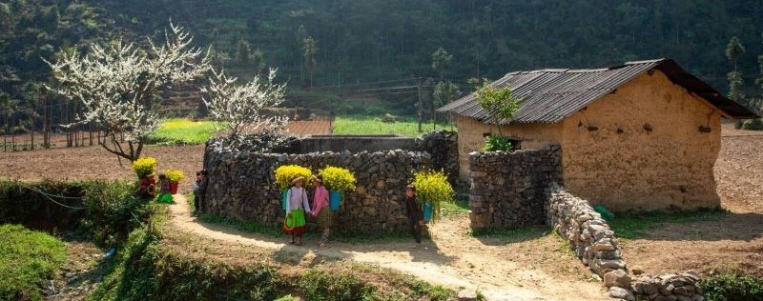 Santé et sécurité au Vietnam tout ce qu'il faut savoir (2026)