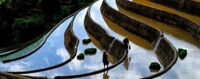 Transport et hébergement au Vietnam à votre rythme