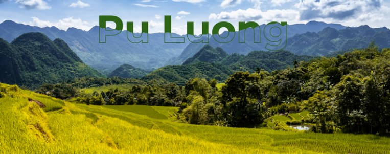 Pu Luong, une réserve naturelle unique à découvrir