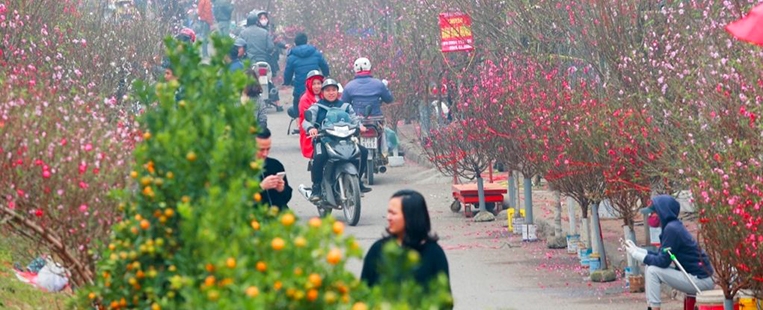 Circuits Vietnam au fin d'année