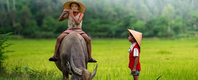 6 films à regarder avant de voyager au Vietnam