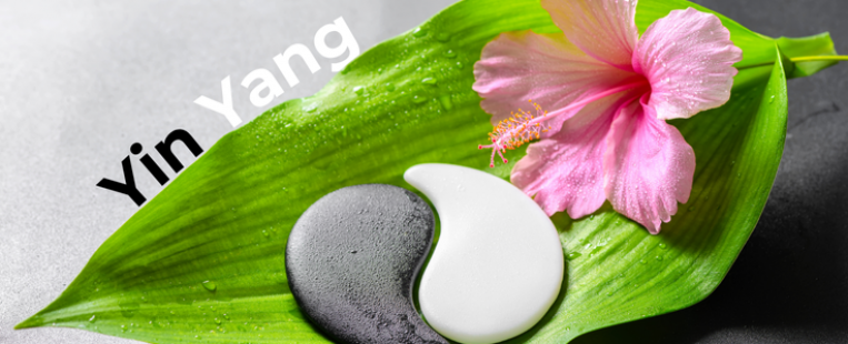 C’est quoi le Ying et le Yang?