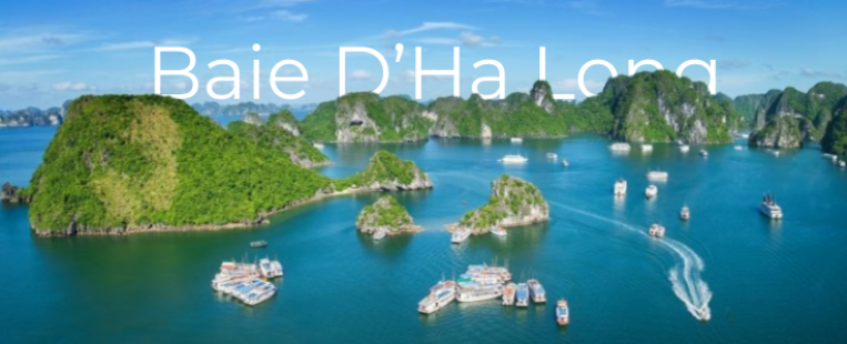 Baie d'Halong avec Typic Travel : hors des sentiers battus
