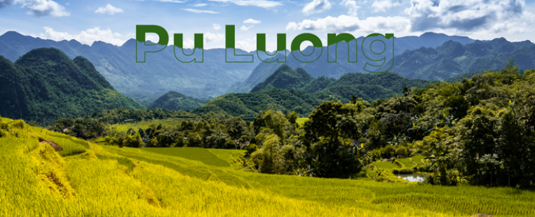 Pu Luong, une réserve naturelle unique à découvrir
