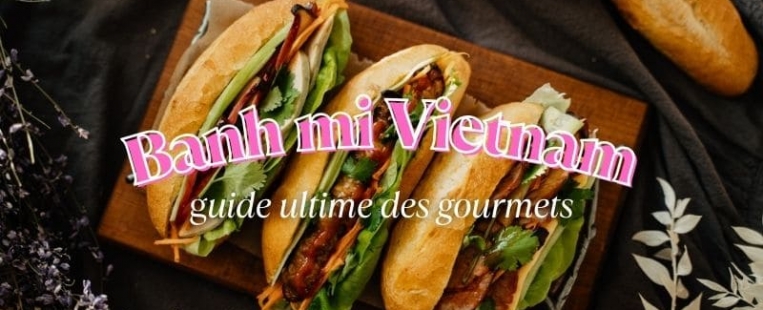 Tout savoir sur le Banh mi Vietnam : Le guide ultime des gourmets
